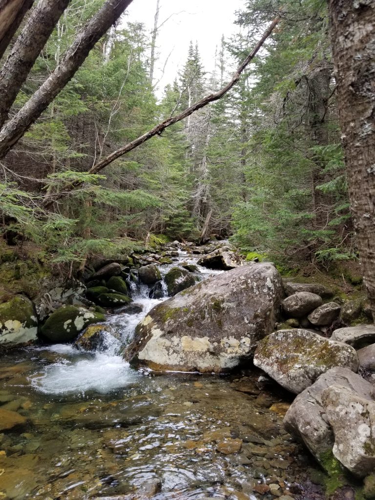 George Brook Trail